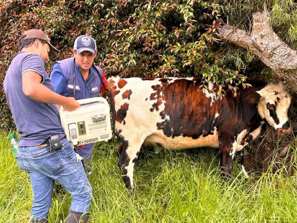 Modernización del campo: Chía implementa biotecnología reproductiva en el sector ganadero